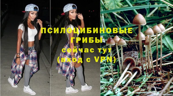 мяу мяу мука Арсеньев