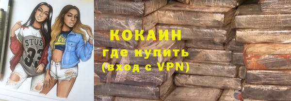 мдпв Осташков