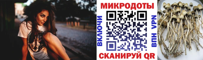 Галлюциногенные грибы GOLDEN TEACHER  Усть-Джегута 